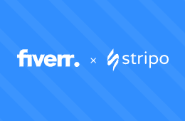 Find Stripo experts on Fiverr